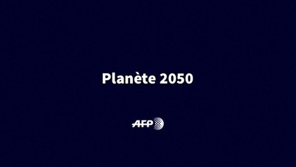 7artDaily, En 2050 mode d'emploi