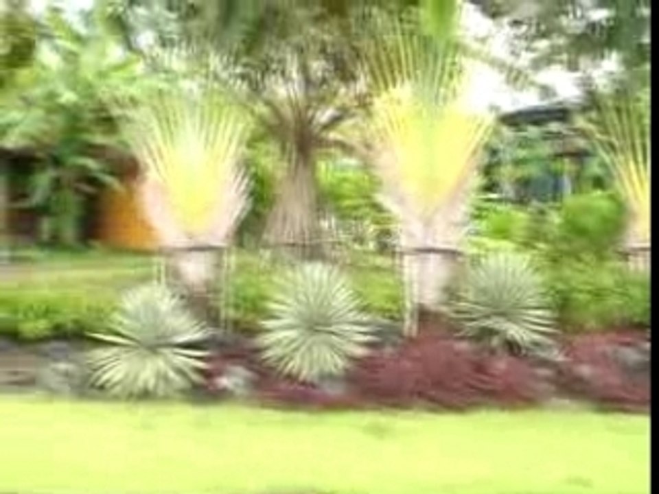 Garden in chiagmai 2