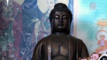 Life for traditional Chinese Medicine