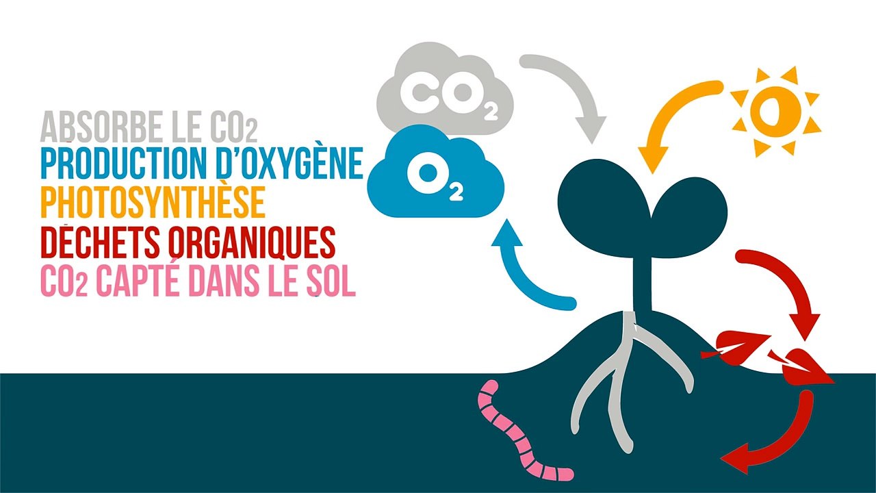 Vidéo : sols agricoles, sécurité alimentaire et climat