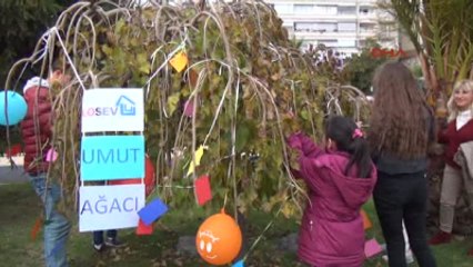 Zonguldak Lösemi Hastası Çocuklar Dileklerini Ağaca Astı