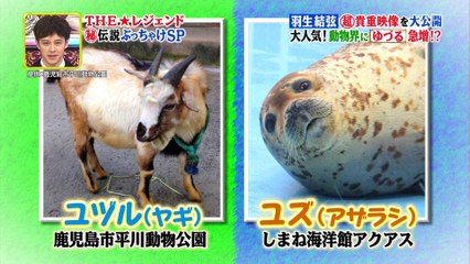 161107レジェンド