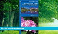 Books to Read  Washington State Trees   Wildflowers: A Folding Pocket Guide to Familiar Species