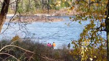 Stave River Fisher Wasting Salmon Just For Roe