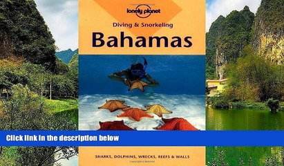 Download Video: Deals in Books  Lonely Planet Diving   Snorkeling Bahamas (Diving and Snorkeling Guides)  Premium