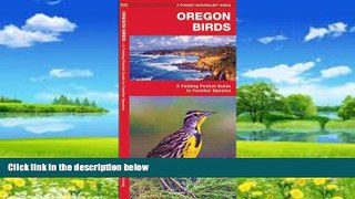 Big Deals  Oregon Birds: A Folding Pocket Guide to Familiar Species (Pocket Naturalist Guide