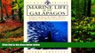 READ NOW  Marine Life of the Galapagos: A Diver s Guide to the Fishes, Whales, Dolphins and Marine