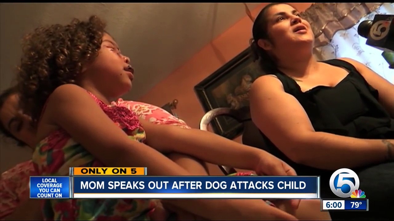 Attaquée par un labrador, c'est le pitbull de cette petite fille qui lui sauve la vie!