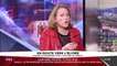 Danielle Simonnet : "C'est la fin de la vie politique qui s'arrête à la vie des partis politiques !' - LCI - 07/11/2016