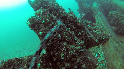 St. Clair River Dive Under Freighter - The Real Deal