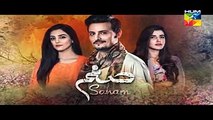Sanam Episode 9 Full HD HUM TV Drama 7 November 2016