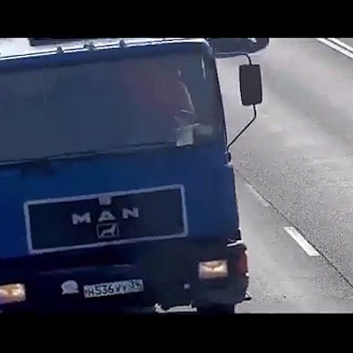 Chaton perdu sur l'autoroute