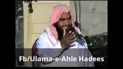 All Ahle Hadees best Naat Collection