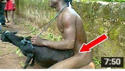 Funny Videos 2016 You Can't Stop Laughing | funny video 2016