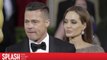 Angelina Jolie Wants to Prevent Brad Pitt From Shared Custody