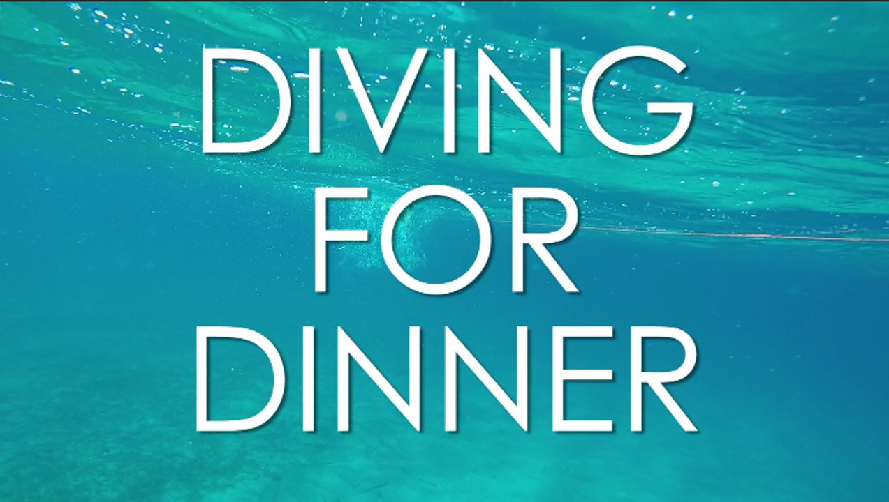 Diving for Dinner