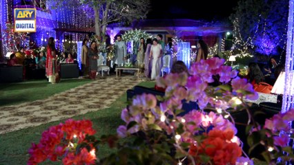 Watch Tum Milay Episode 18 on Ary Digital in High Quality 7th November 2016