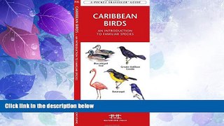 Big Deals  Caribbean Birds: A Folding Pocket Guide to Familiar Species (Pocket Naturalist Guide
