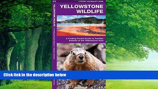 Books to Read  Yellowstone Wildlife: A Folding Pocket Guide to Familiar Animals of the Yellowstone