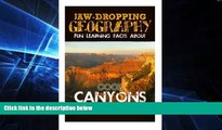 Must Have  Jaw-Dropping Geography: Fun Learning Facts About Cool Canyons: Illustrated Fun Learning