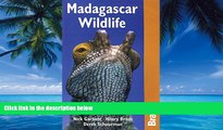 Big Deals  Madagascar Wildlife 3rd (Bradt Travel Guide Madagascar Wildlife)  Best Seller Books