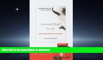 Read books  Beautiful Boy: A Father s Journey Through His Son s Meth Addiction online to buy