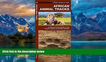 Books to Read  African Animal Tracks: A Folding Pocket Guide to the Tracks   Signs of Familiar