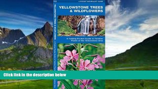 Big Deals  Yellowstone Trees   Wildflowers: A Folding Pocket Guide to Familiar Species of the