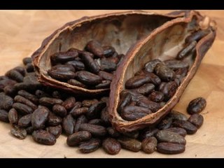 Top 10 sự thật thú vị đáng ngạc nhiên về Socola | Việt Vivu |