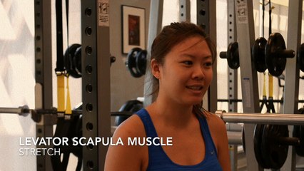 Levator Scapula Stretch Insync Physiotherapy