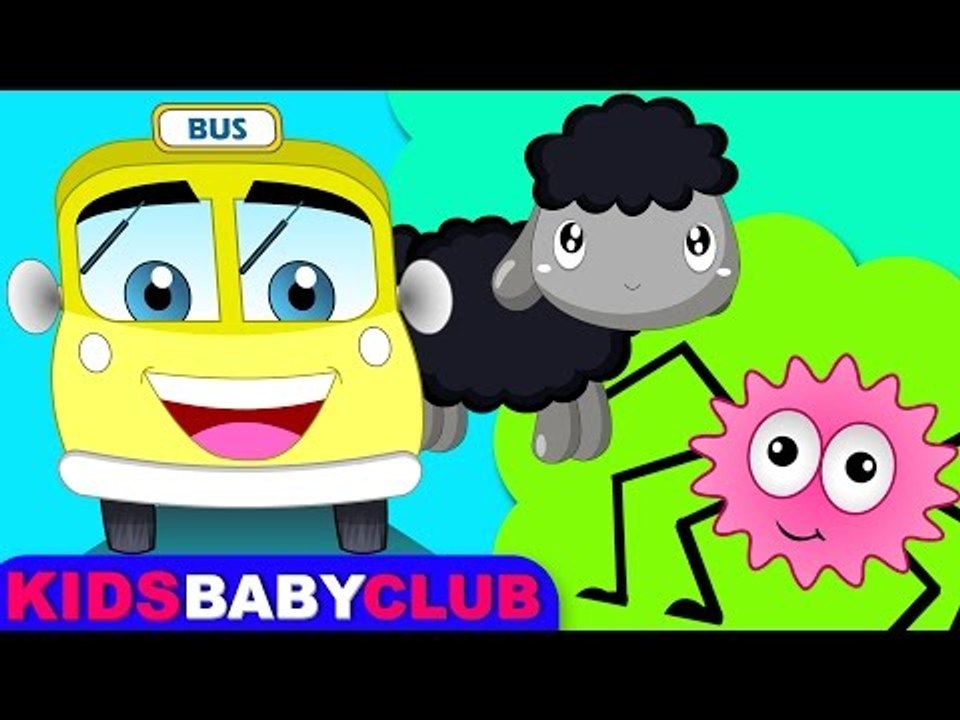 Baa Baa Black Sheep | Incy Wincy | Wheels On The Bus| Nursery Rhyme Compilation