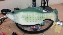 the future _ someone hacked Amazon’s Alexa into one of those singing fish_ by ShareToFriends