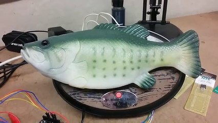 the future _ someone hacked Amazon’s Alexa into one of those singing fish_ by ShareToFriends