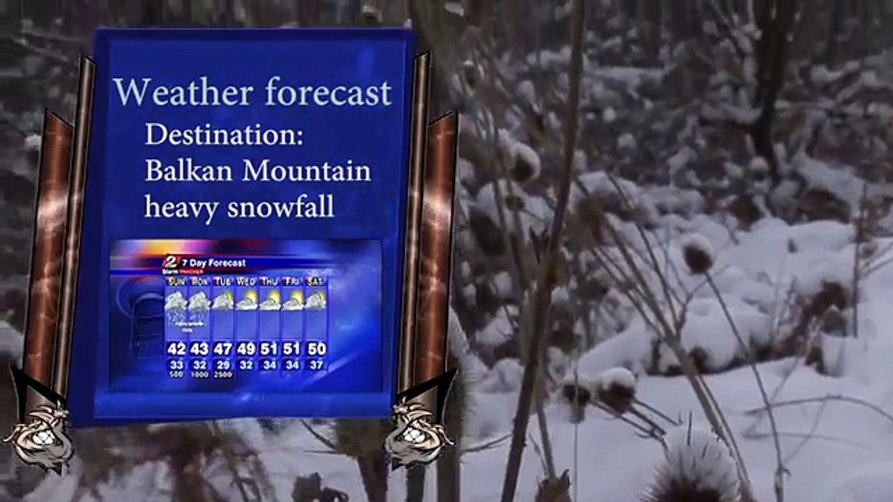 Des sangliers et des chasseurs | épisode 5