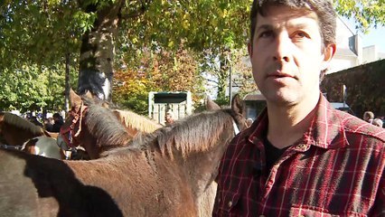 Le JT breton. L’édition du lundi 7 novembre 2016