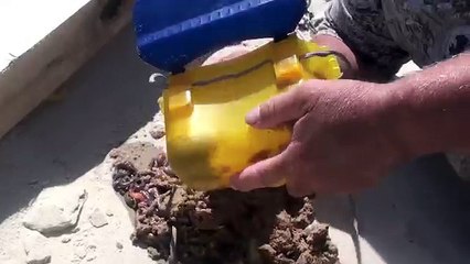 How To Catch Beach Worms