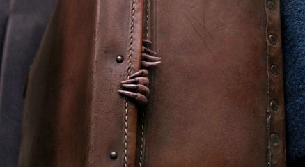 Animales fantásticos y dónde encontrarlos - Clip 2