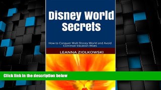 Big Deals  Disney World Secrets: How to Conquer Walt Disney World and Avoid Common Vacation Woes