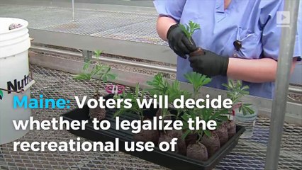On Election Day, these states will vote on medical marijuana