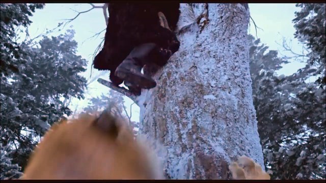 (1080p)The Taking Of Tiger Mountain (Man Vs Tiger)