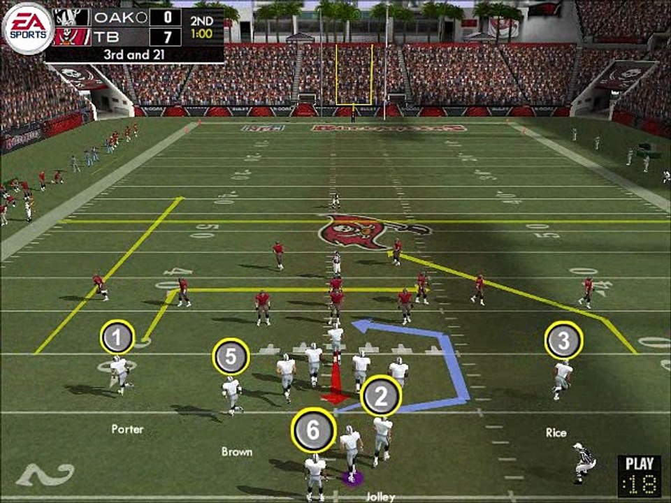 TD Porter vs Tampa Bay Madden NFL 04
