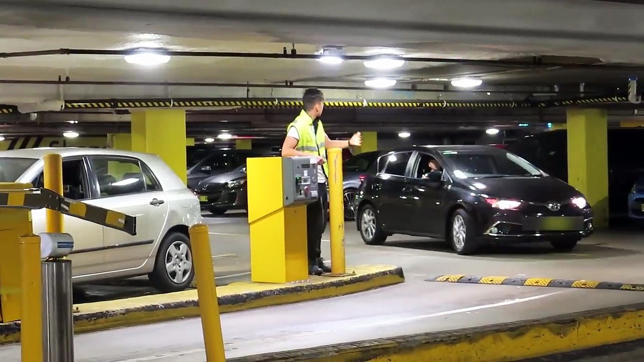 Pay the parking ticket?