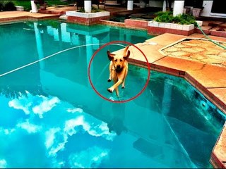 Top những bức ảnh bất ngờ nhờ chụp đúng thời điểm | Việt Vivu |