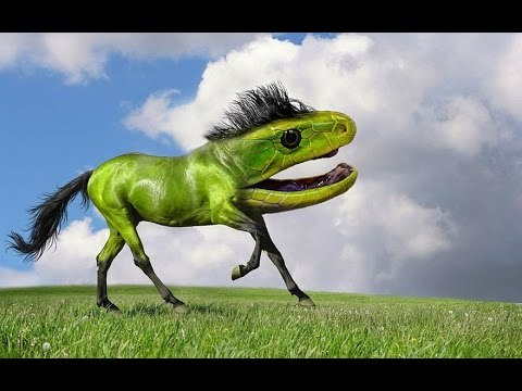 Top 15 con quái vật kì dị chui ra từ photoshop | Việt Vivu |