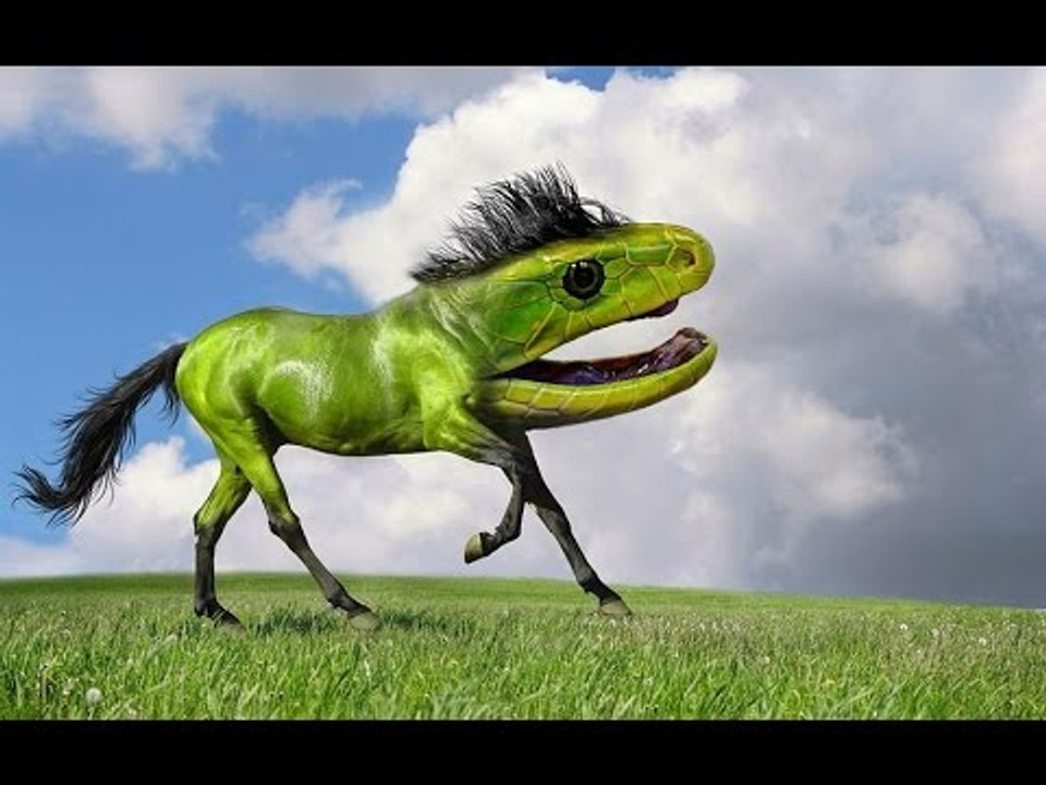 Top 15 con quái vật kì dị chui ra từ photoshop | Việt Vivu |