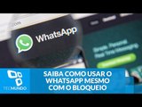 WhatsApp fora do ar? Saiba como usar o app mesmo com o bloqueio