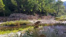 Olympos Gezilecek Yerler - Olympos Antik Kenti - 1