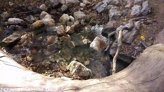 Olympos Gezilecek Yerler - Olympos Antik Kenti - 2