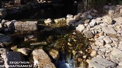 Olympos Gezilecek Yerler - Olympos Antik Kenti - 3