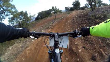 sp1 catalan'duro 2016